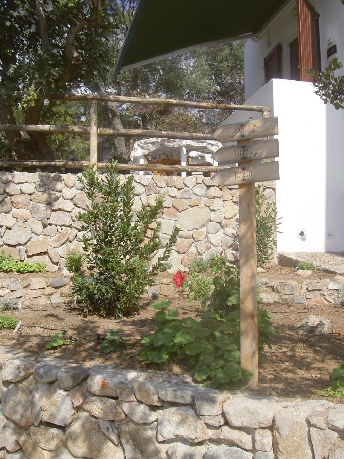 Apartmán Ulivo Quartu SantʼElena Exteriér fotografie