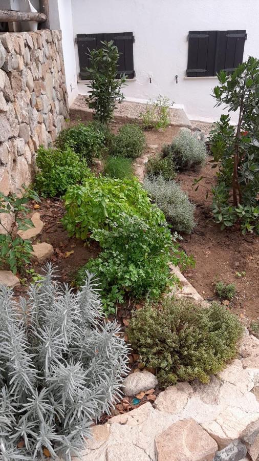 Apartmán Ulivo Quartu SantʼElena Exteriér fotografie